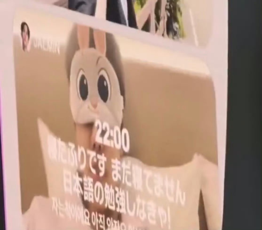 我就说朱迪尼克一定是一起的嘛