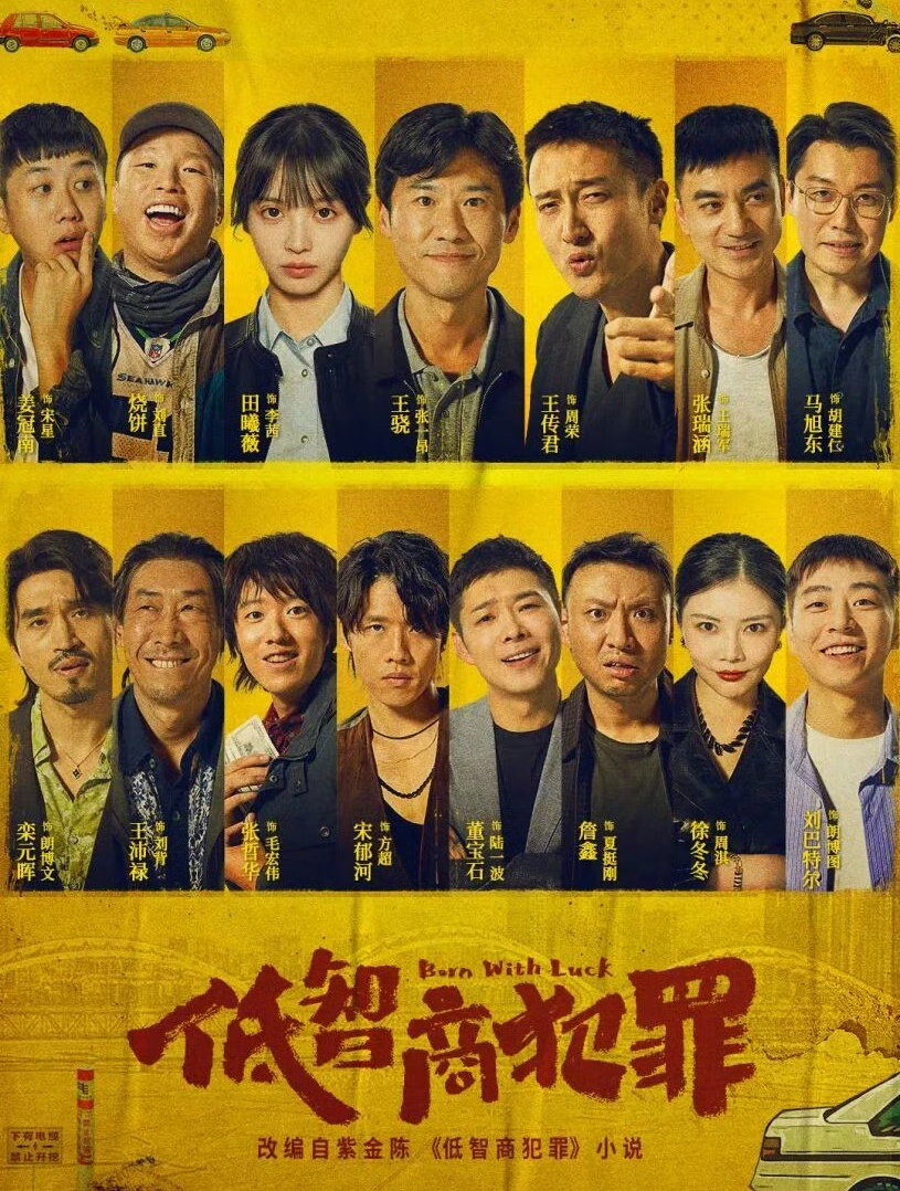 低智商犯罪这剧强烈推荐！非常搞笑！ 