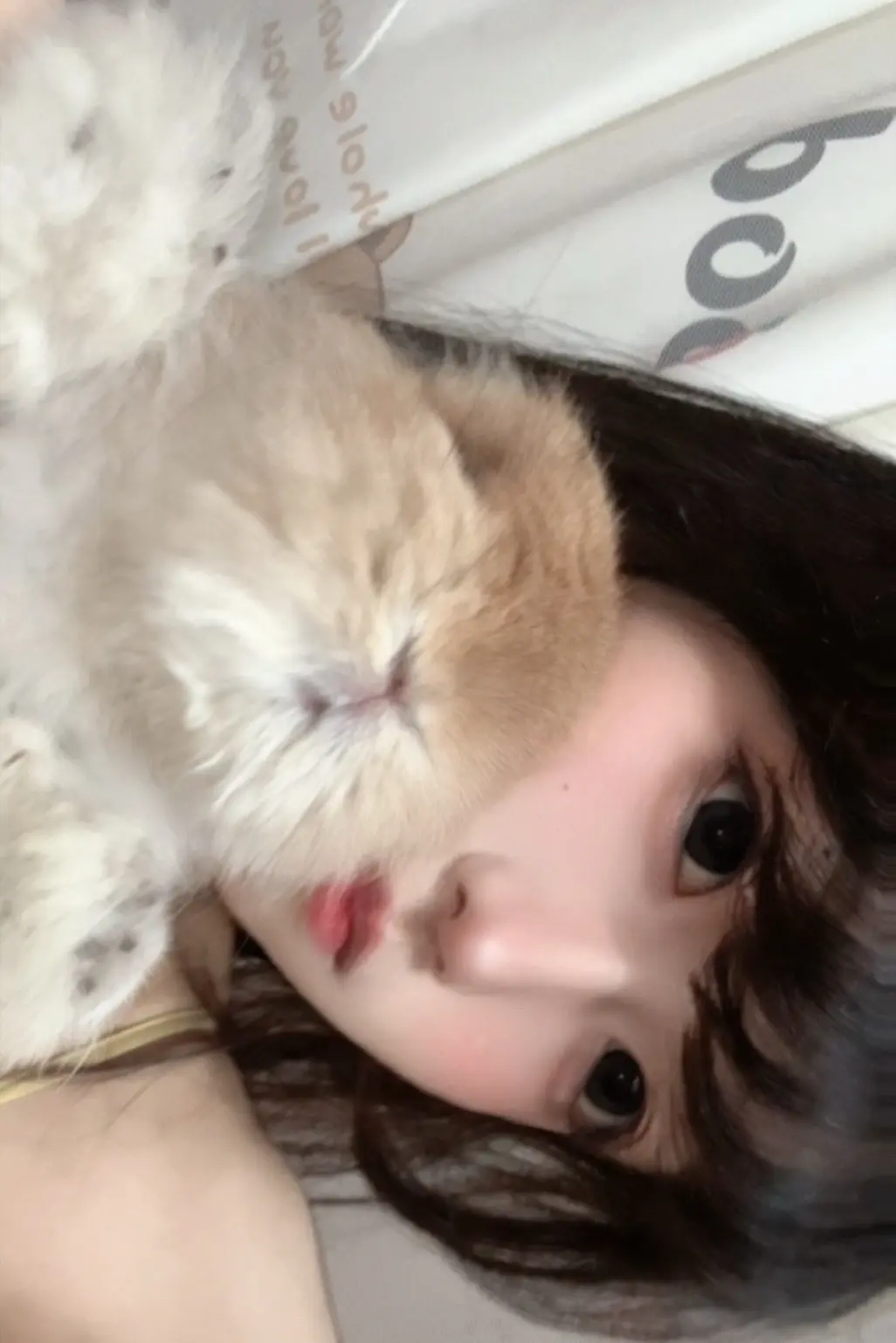 真的好喜欢这一张
