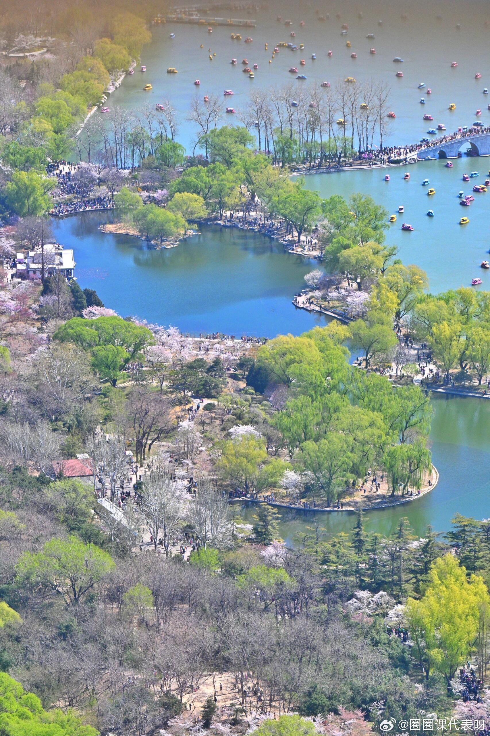 来中央电视塔打卡冬去春来同款机位从中央电视塔上俯瞰玉渊潭樱花好美清明假期来热播剧