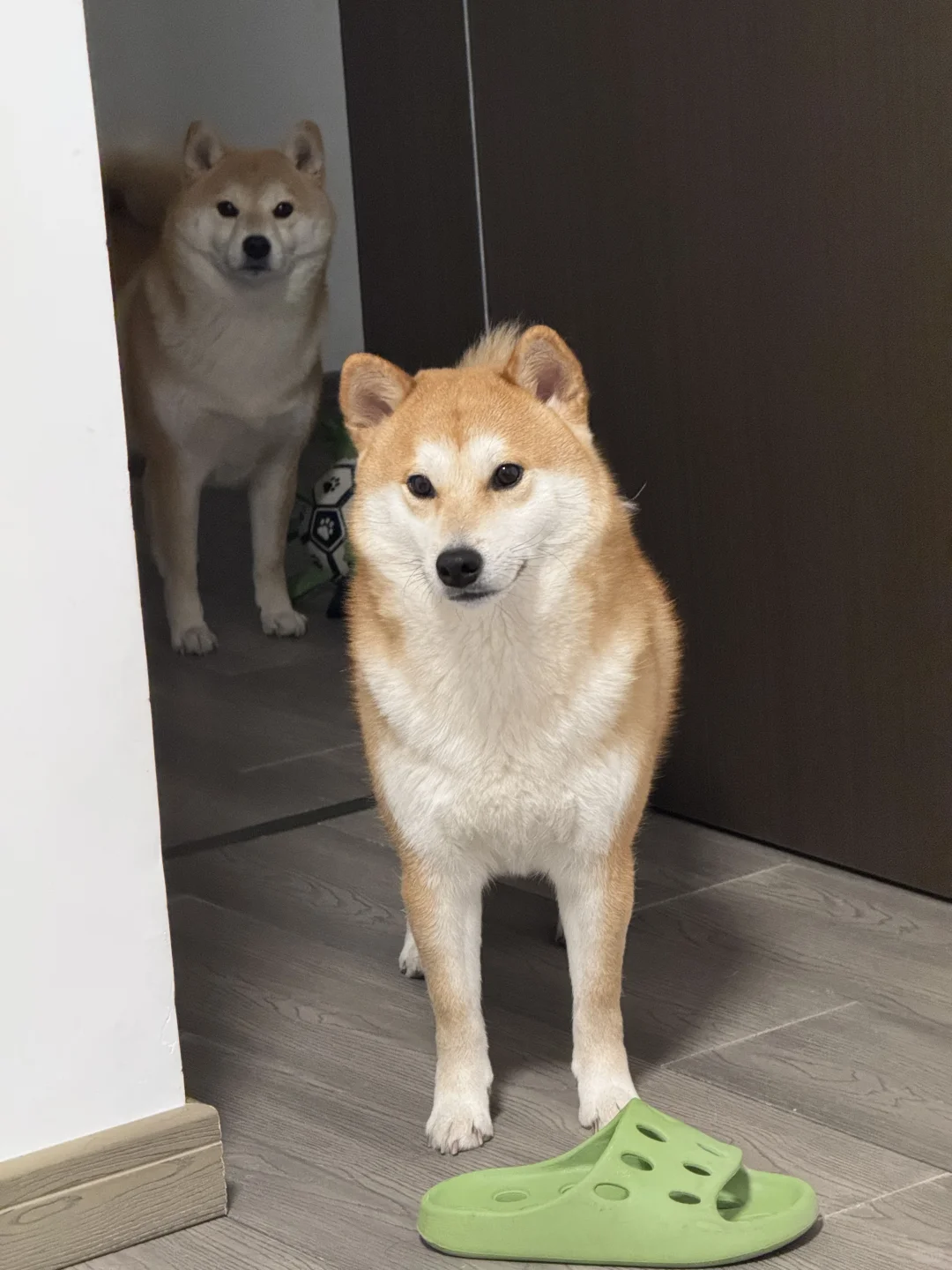 足球⚽️还是拖鞋🩴