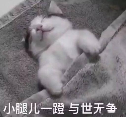 #今天追了什么剧# ​​​