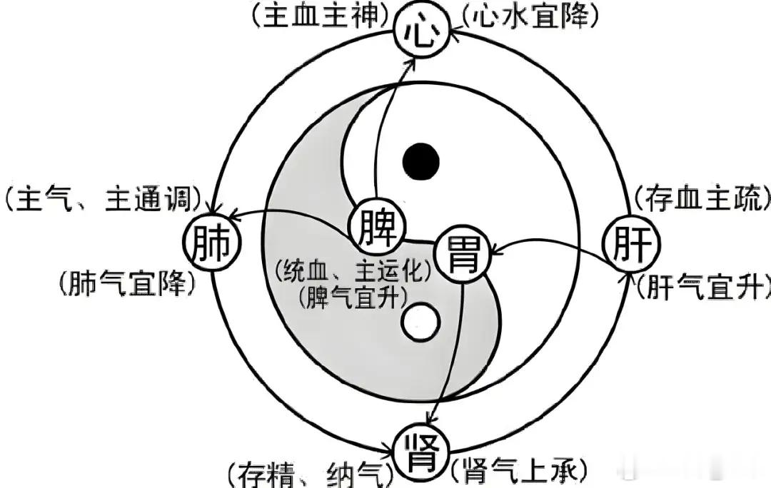 补气的最高境界，就是培土生金，脾健一升，肺气自充卫外固表很多人一提到补气，第一反
