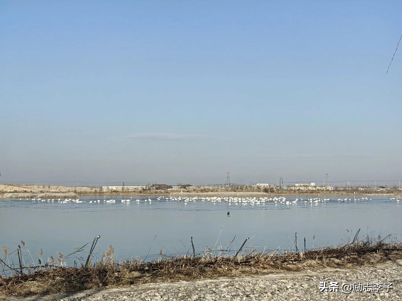 悄然不语，千般思念，落地为泥，僵而不死，故而复始，姹紫嫣红。
