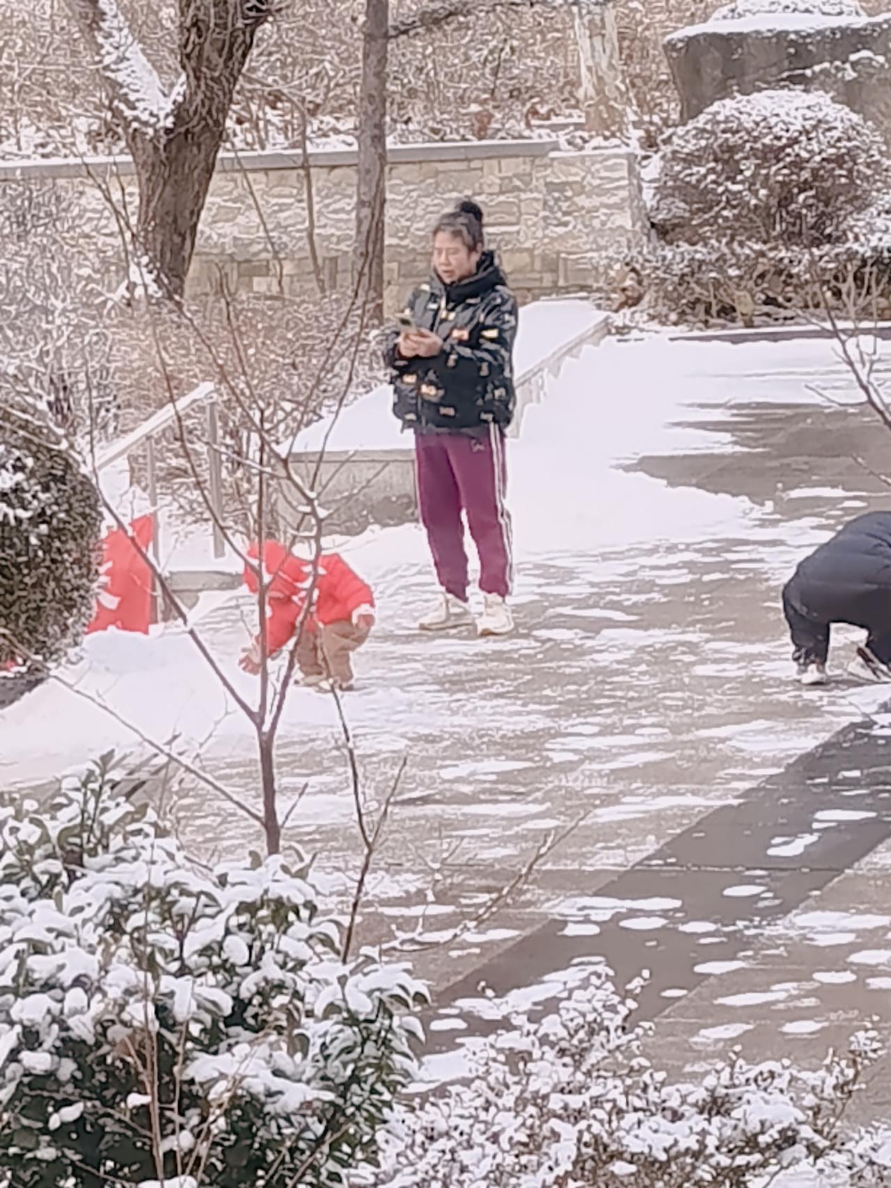 小雪过后，奶奶领着小孙子在外面认识人生的第一场雪，让他触摸、抓握、挥洒为他拍照留