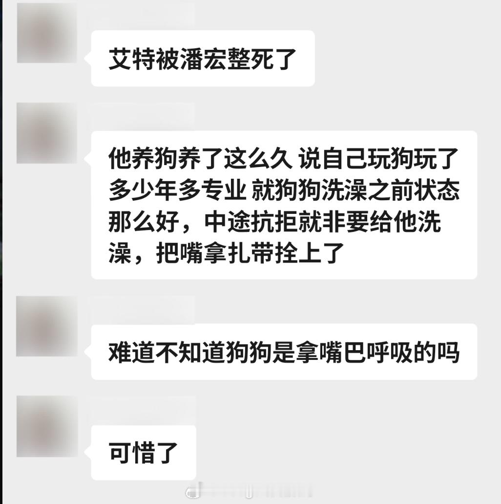 网红小狗艾特去世 那会看到群友再说这件事就去看了一下哎…。 