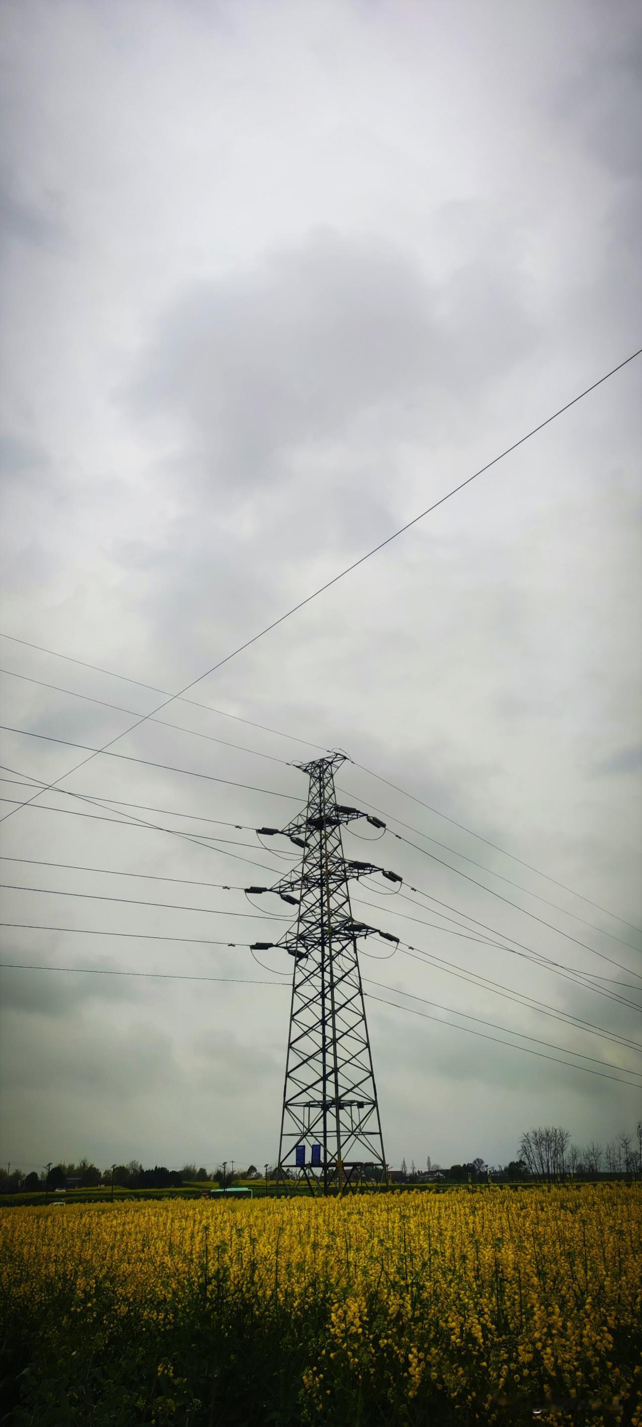 雨天，天空中平铺着乌云。若是你来乡村，油菜花的灿烂依然是明晃晃的。明明是经济作物