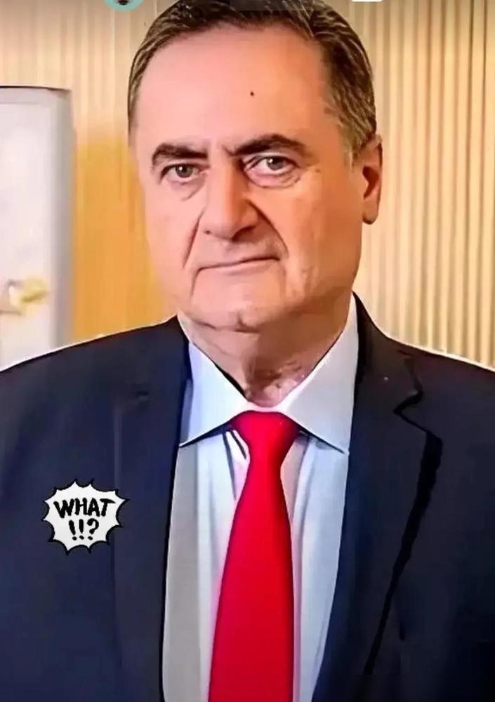 以色列传来消息！

这事儿真的看得人心里堵得慌，加沙那边还有上百万老百姓流离失所