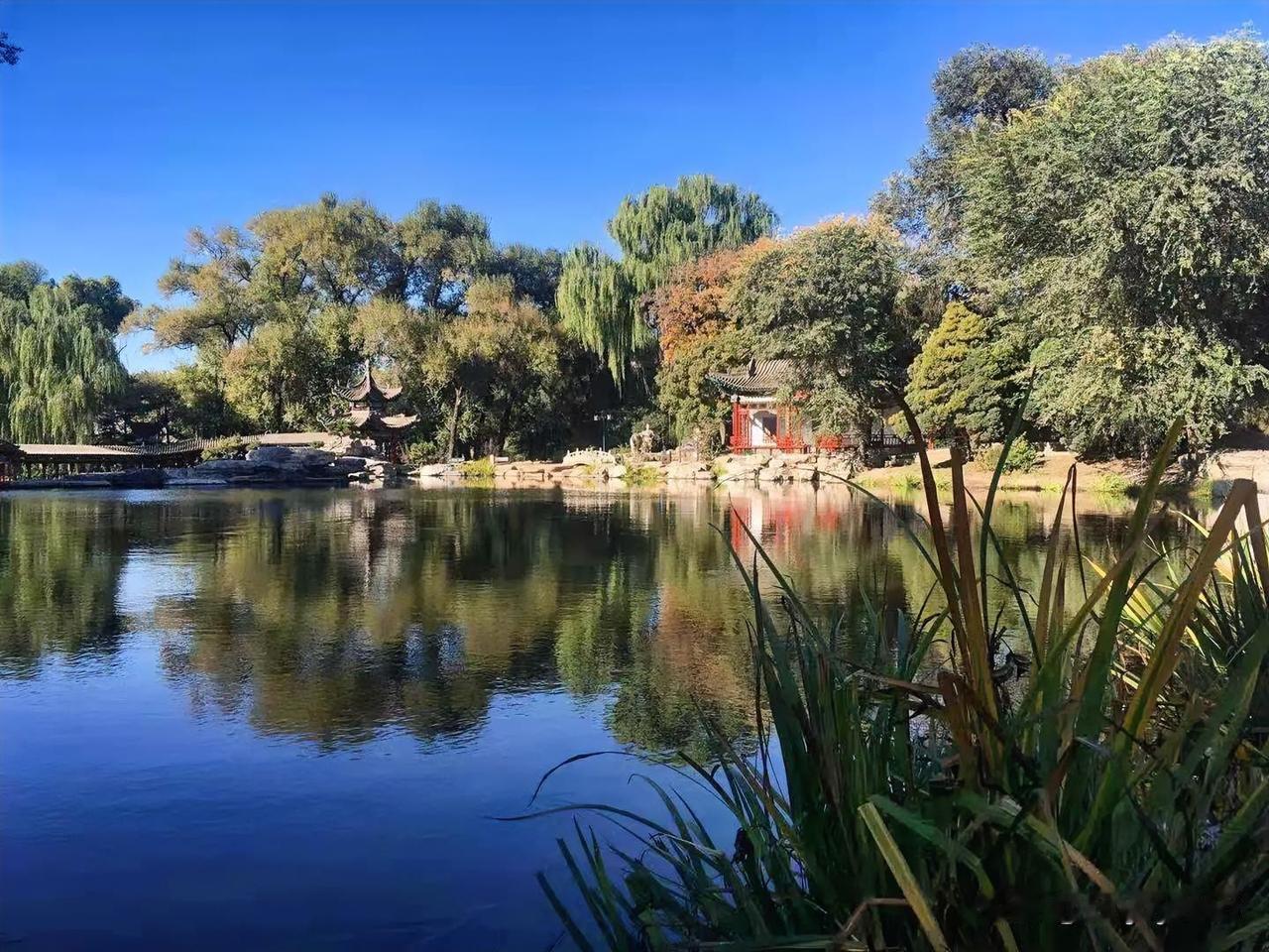 风掠过草叶的轻响，阳光穿过枝桠的暖，都在提醒我们：不必追赶时间，此刻的停留，已是