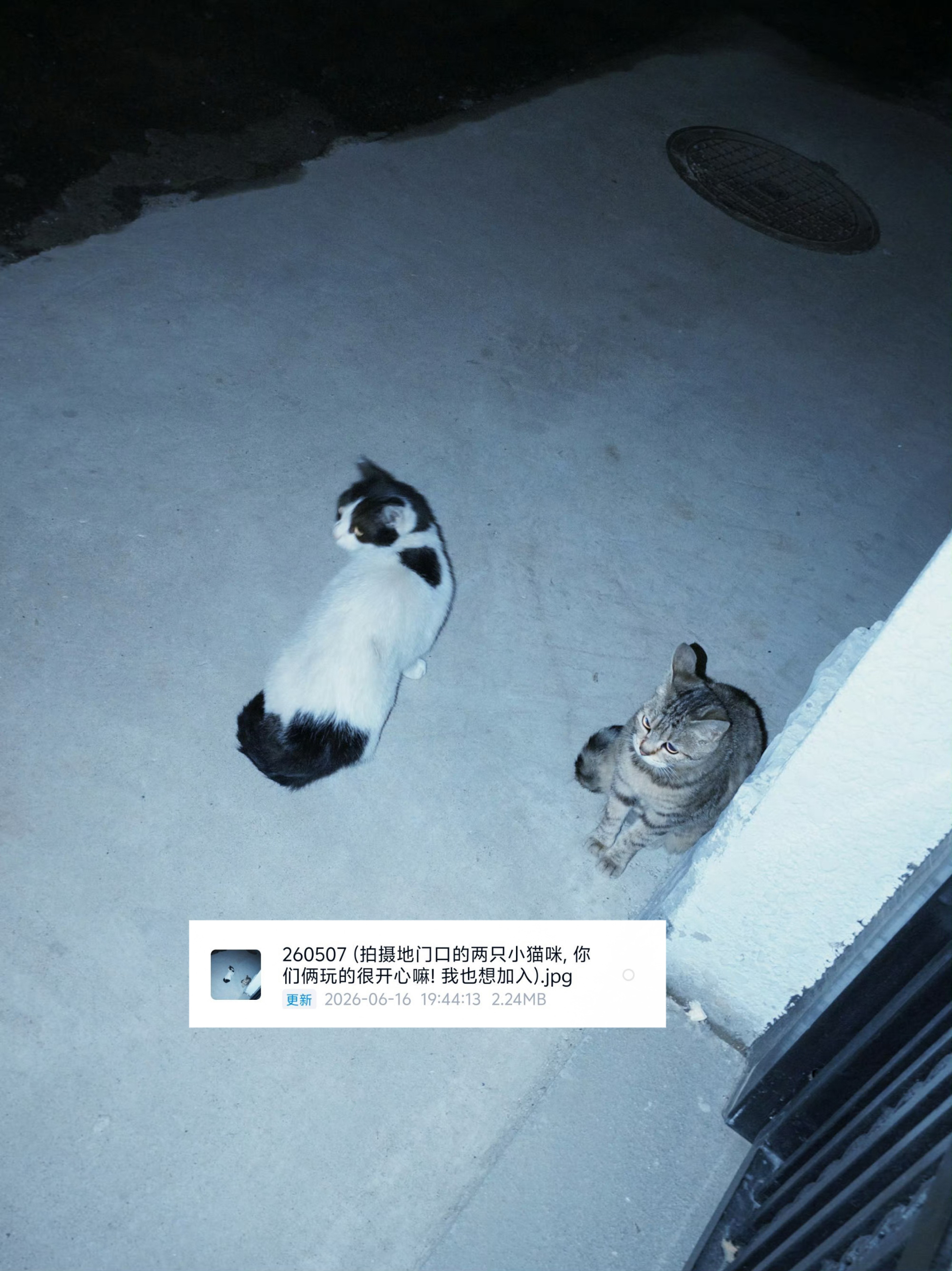 【4815】对所有生命拥有平等敬畏之心的强大共情力 