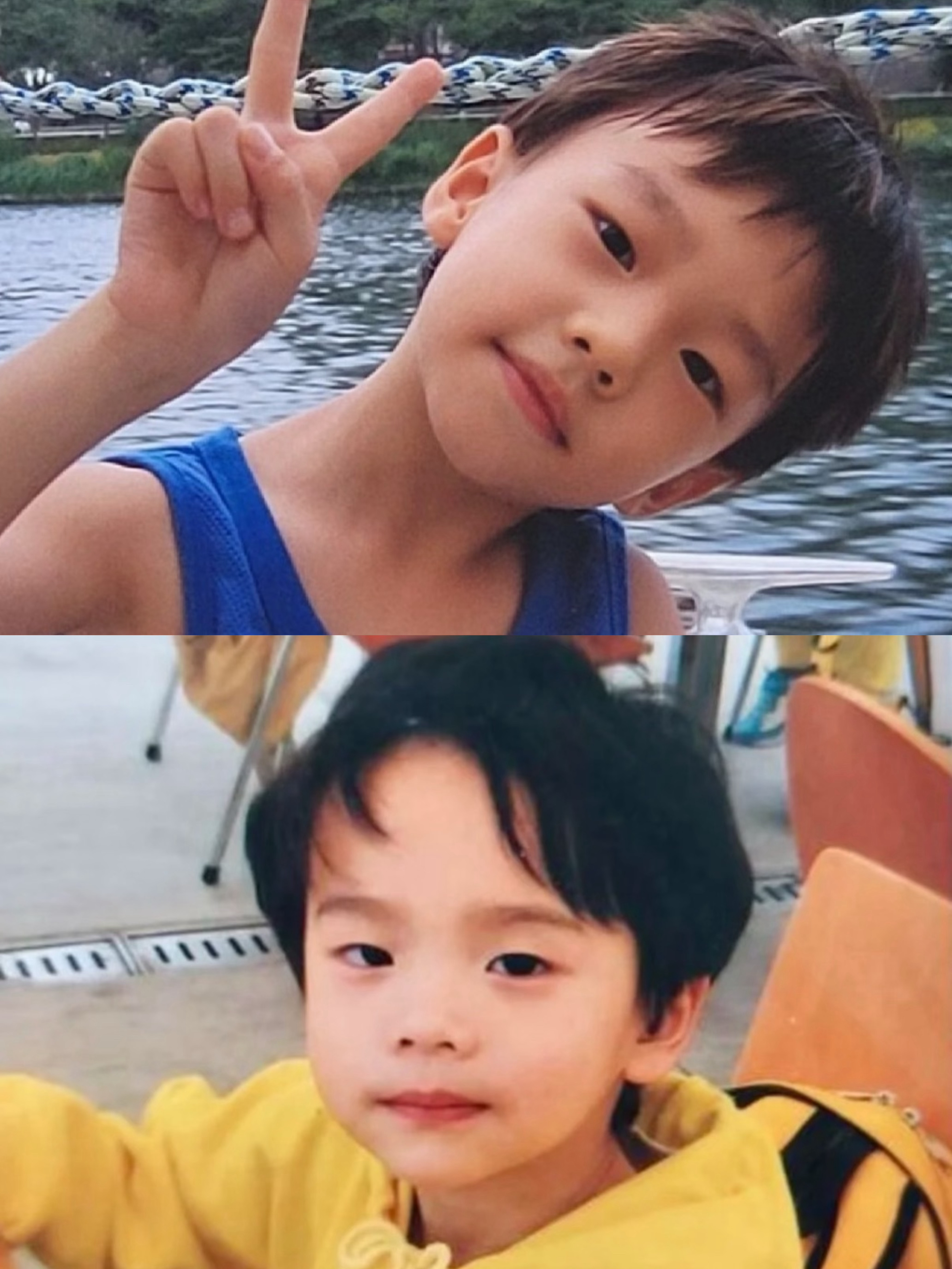 明明是一个模子里刻出来的 为什么半辰品申惟的幼雕火遍全网 黄铉辰的幼貂却无人在意