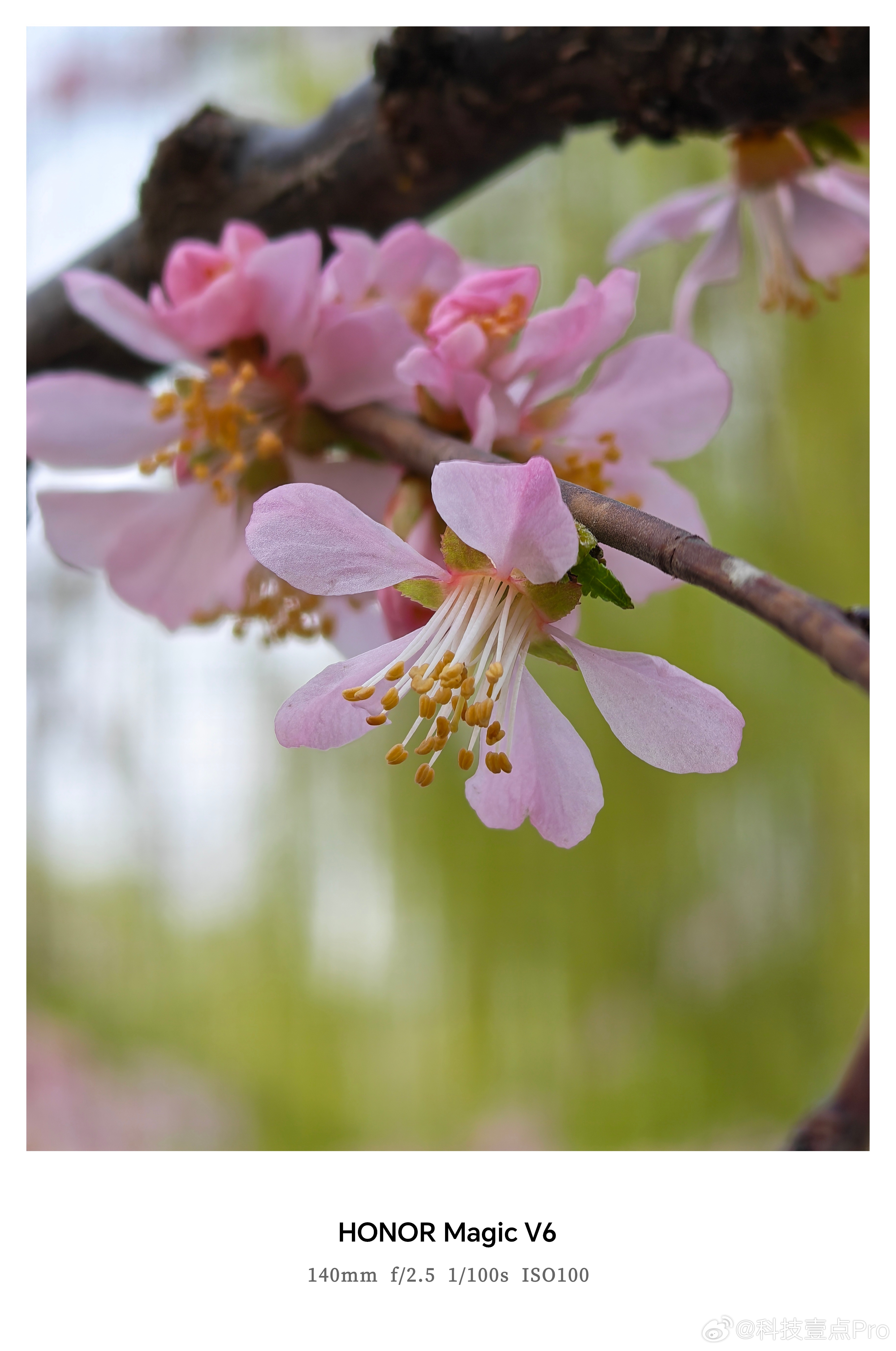 二月二龙抬头有啥习俗二月二龙抬头遇上了春分，好日子用荣耀Magic V6的镜头记