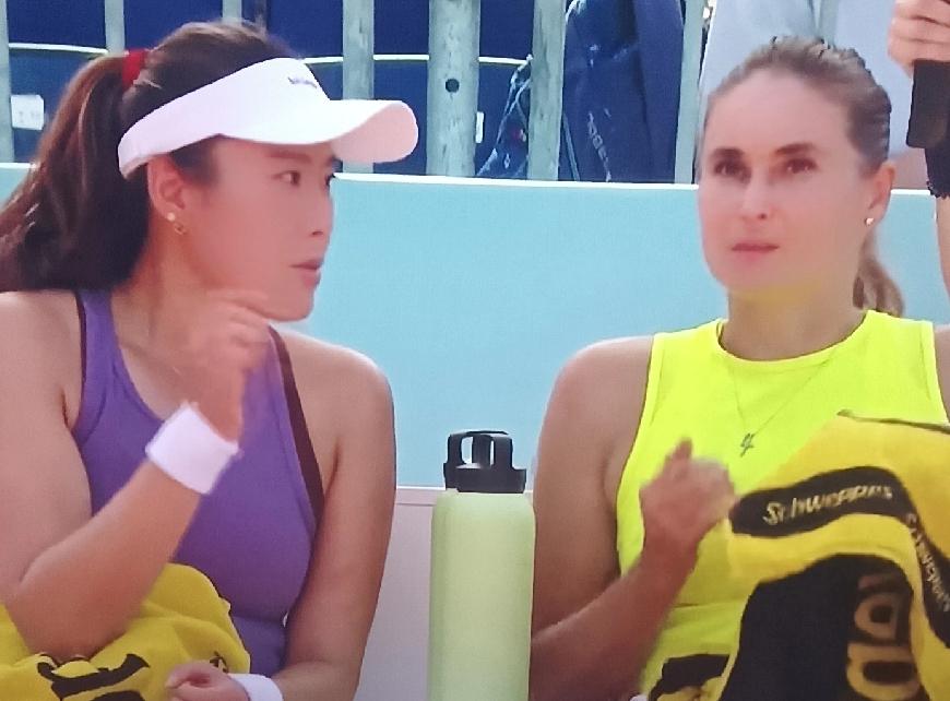 错失良机！杨钊煊/帕诺娃组合0-2告负，马德里女双首轮爆冷出局！
       