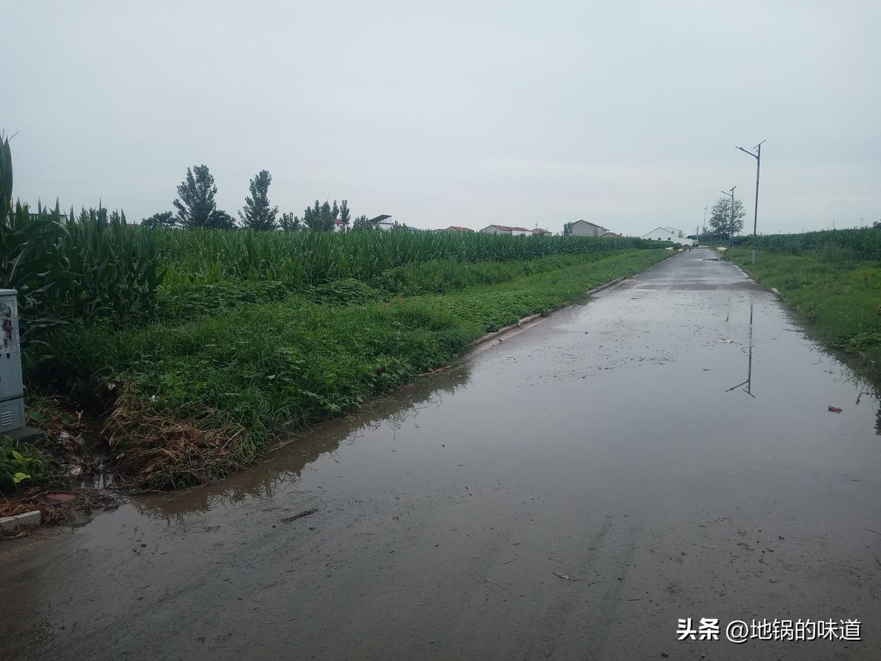 六月十八雨淋头，末伏不见毒日头
六月十八雨，四十五天穿蓑衣
六月十八动了流，大雪