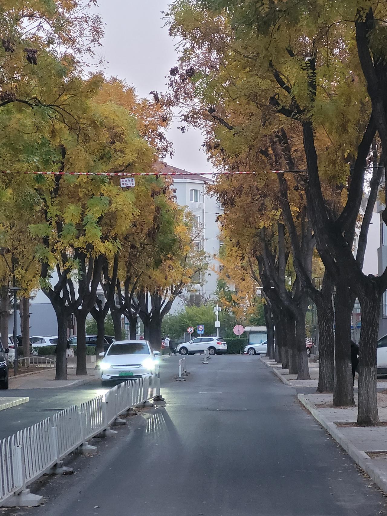 清河橡树湾‌与上地东里跌幅差距这么大？

多年前我在清河橡树湾‌与上地东里之间选
