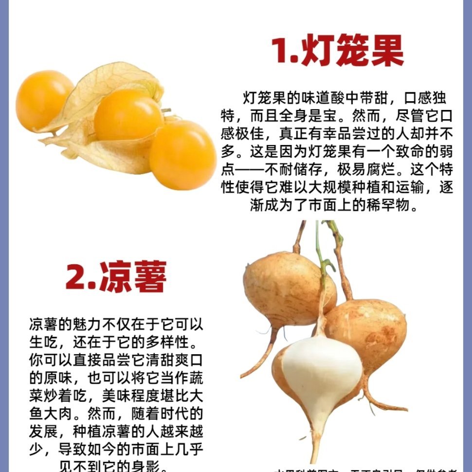 小时候常吃的水果消失了正在消失的水果，有钱也很难买到！ 