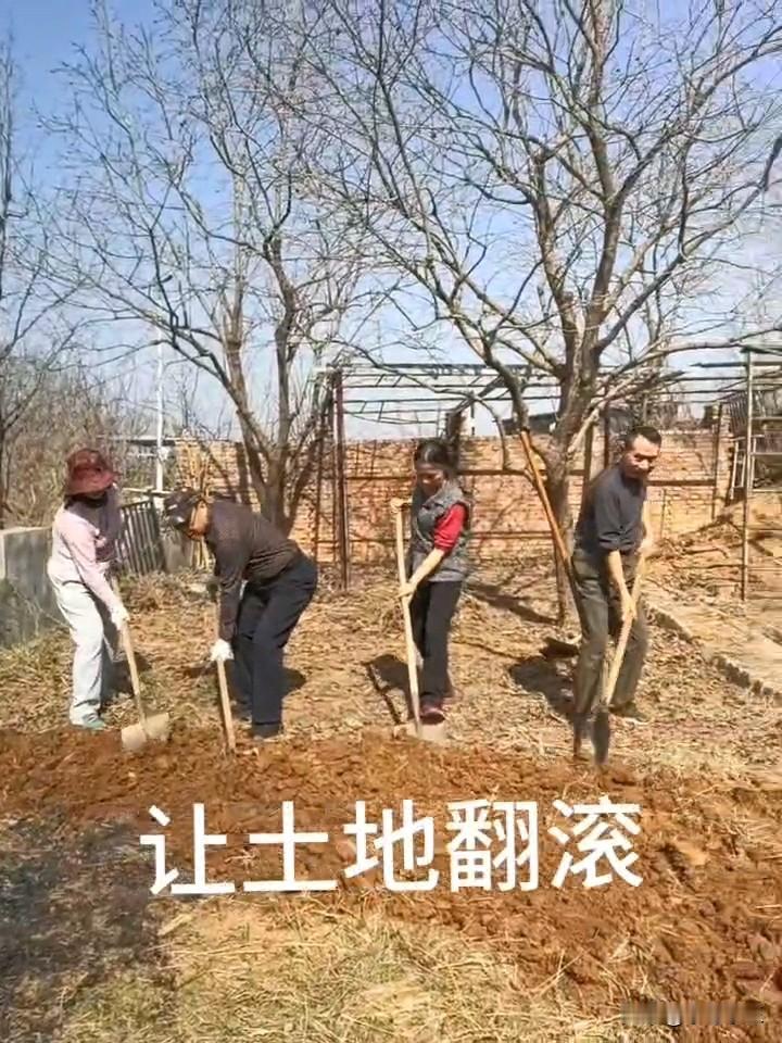 有一个地方，
在我的心田，
在湖畔的山岗。
那里有你有我，
有泥土的芬芳。

眼