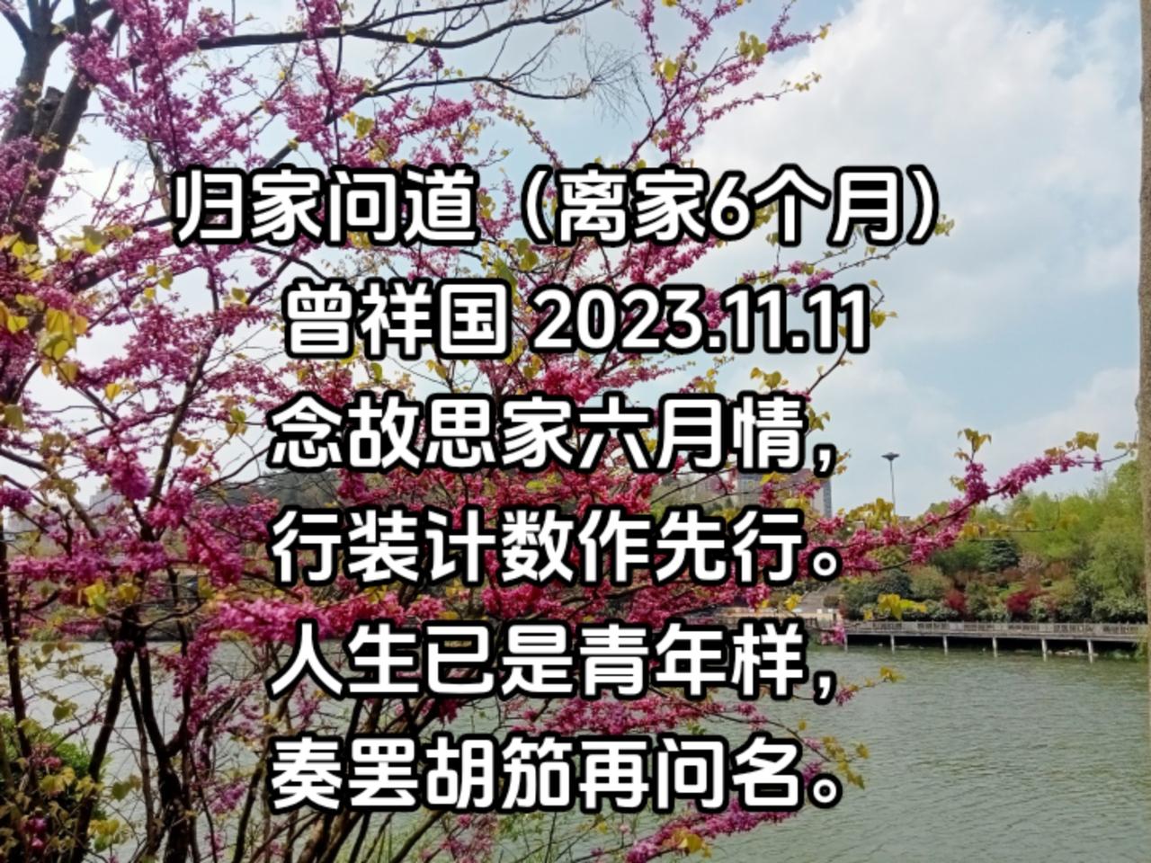 归家问道，我的开阳等我
