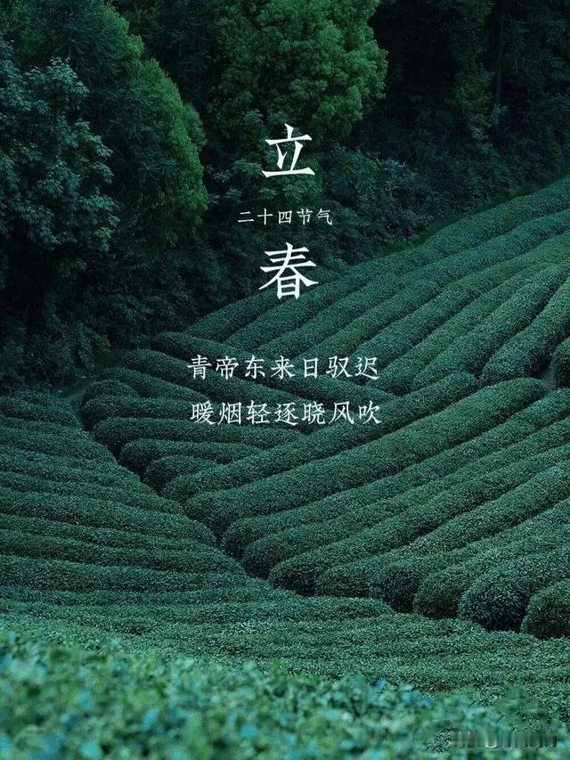 今日立春：万物萌动，四季独首，愿岁月不负花开，人生如沐春风。立春，是二十四节气之