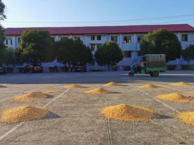 上联:勤勤恳恳种菜，求下联踏踏实实收粮