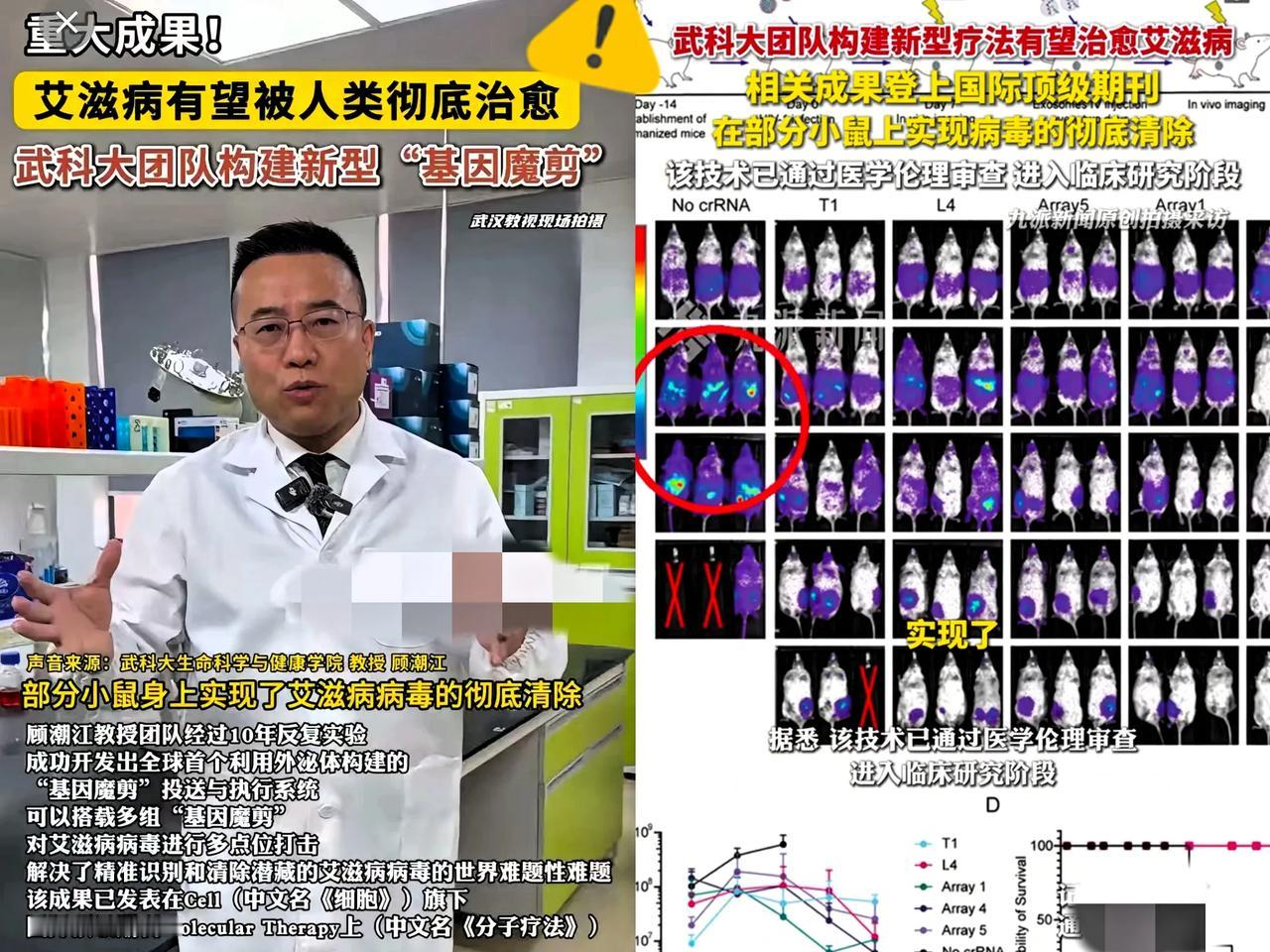 刷到这消息直接激动到攥拳，

武汉这次真的凭硬实力炸场了！

武科大，在搞艾滋病