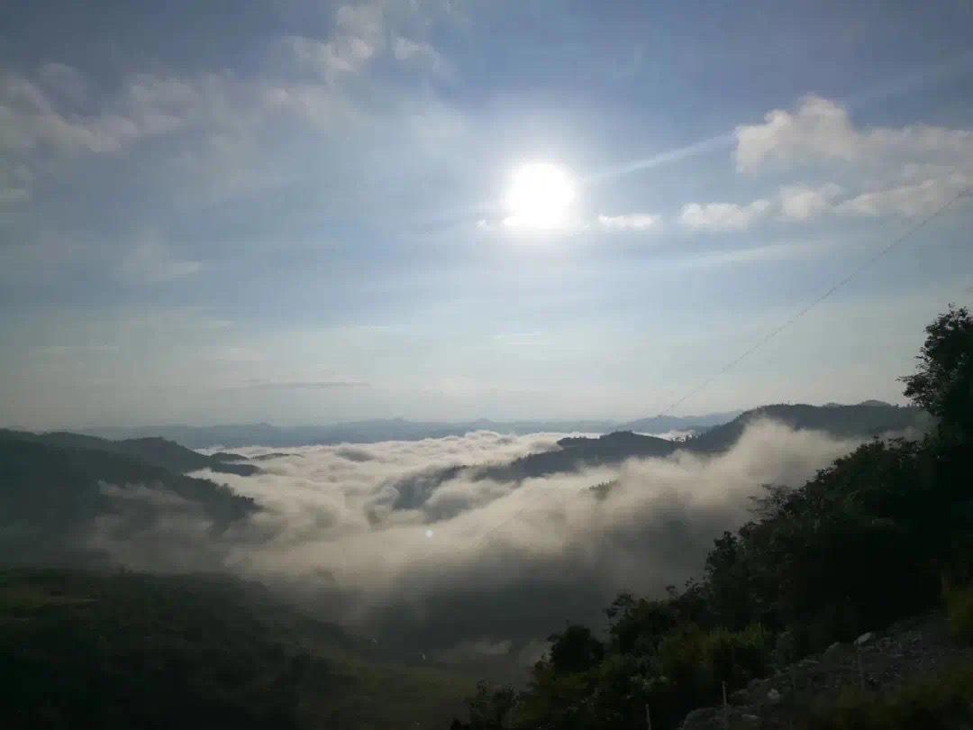 爻·默斋主人原创自由诗茶烟漫作晚云，友人新购的《周易》印着机器压制的金边。我退回