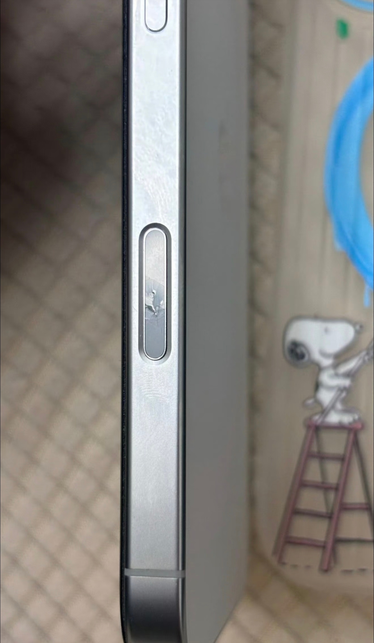 不止是鸡肋，还是负体验吧😂无用又易碎，属于苹果最近几年少有的败笔了。手机拍照实