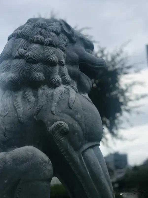 何谓人生要豁达,没必要计较?人生如行舟，计较是船底的泥沙，越积越重，拖慢前行的步