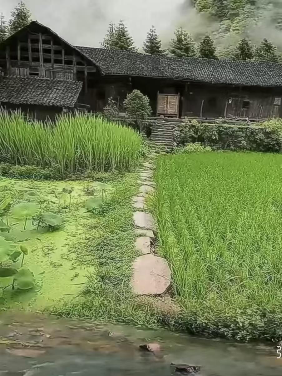山居
竹畔几间茅草屋，
屋前半亩野田畦。
畦耕山水栽诗句，
句里不妨尘外题。