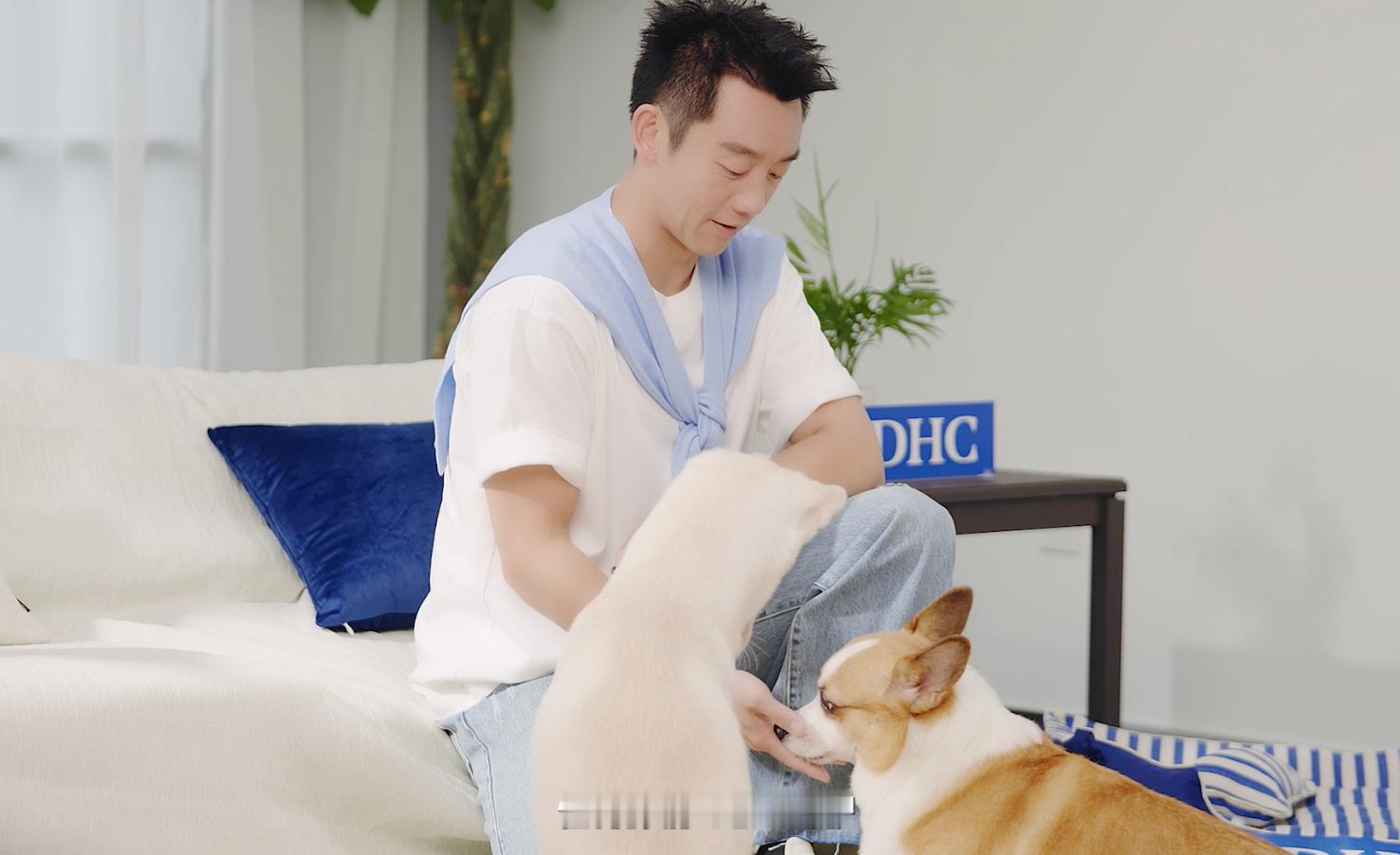 郑恺官宣DHC品牌新身份 DHC健康恺甲长久陪伴 养宠干货 终于读懂DHC这次官