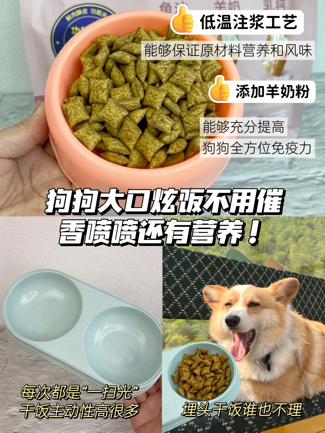如何挑选狗粮？这篇攻略你可看好了