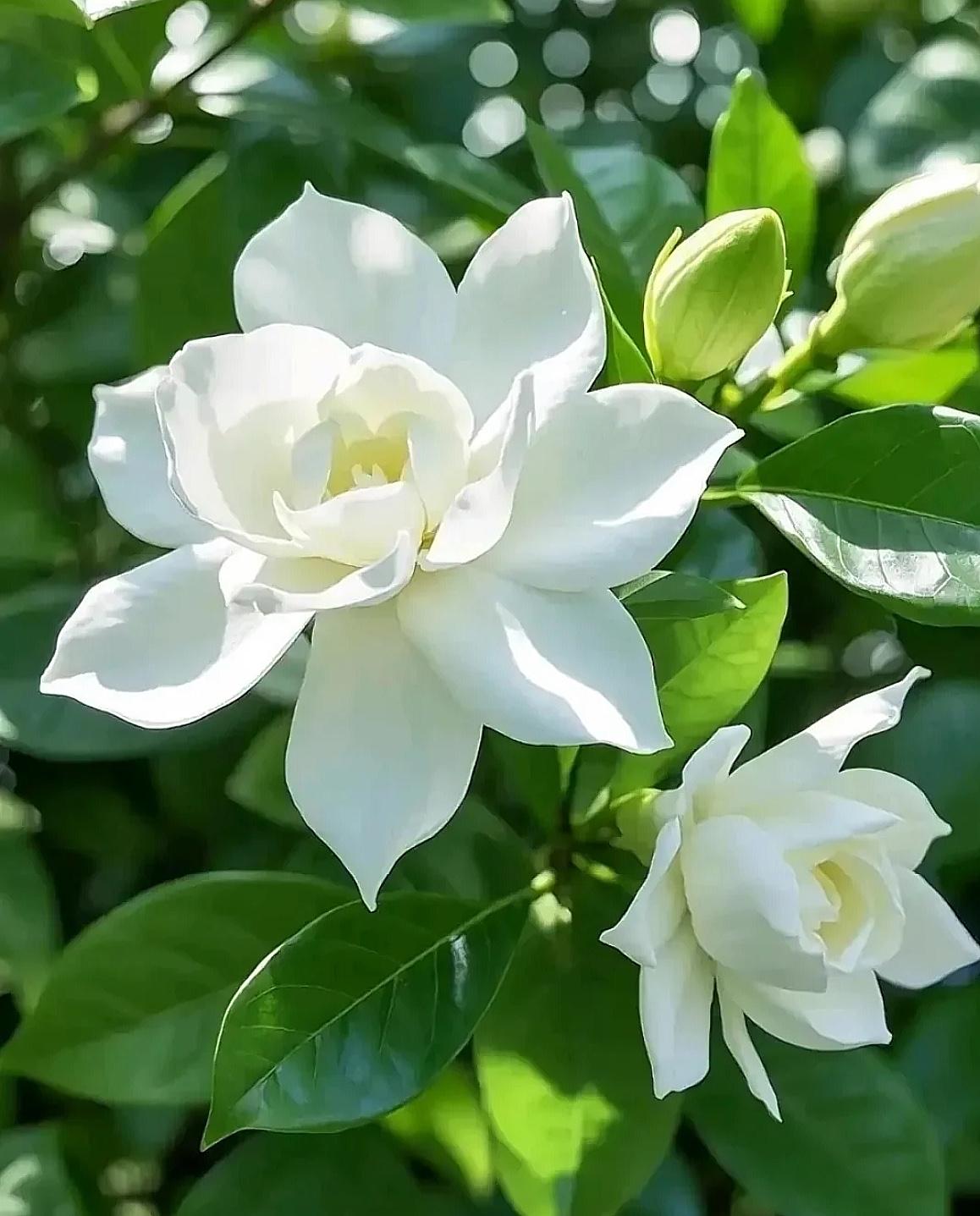 一个家庭，
想要往上走，
第一，夫妻之间尽量不要各顾各的，
有事要相互商量，切勿