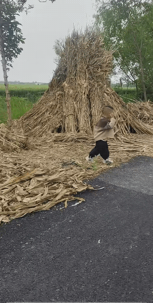 小男孩:估计砸了她后她会打，但没有想到她打的这么疼。
分不清楚大小王。一石头换来