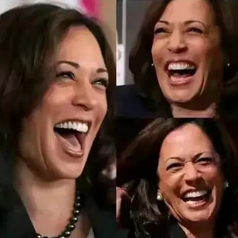 2024年美国总统选举11月4日开始投票了，共和党总统候选人特朗普和民主党总统候