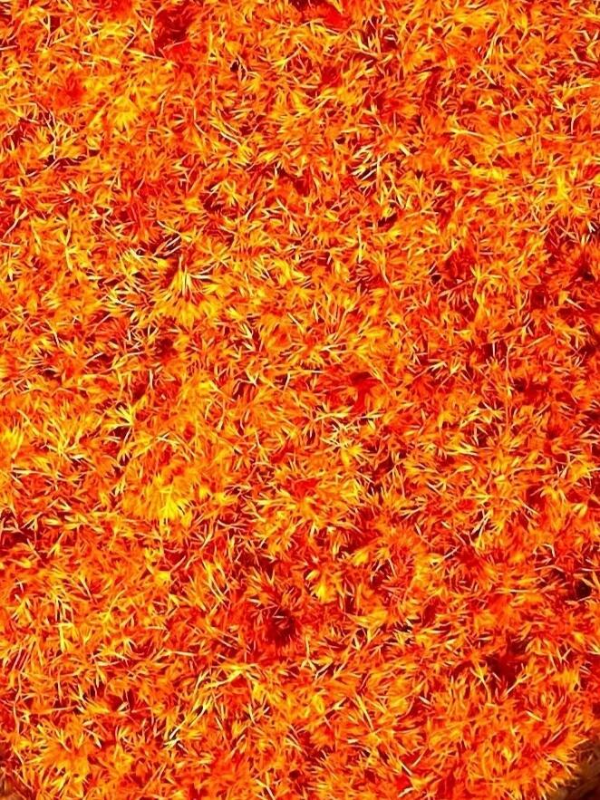 中医中药  |  红花，作为中医药宝库中一颗璀璨的明珠，是菊科植物红花（Cart