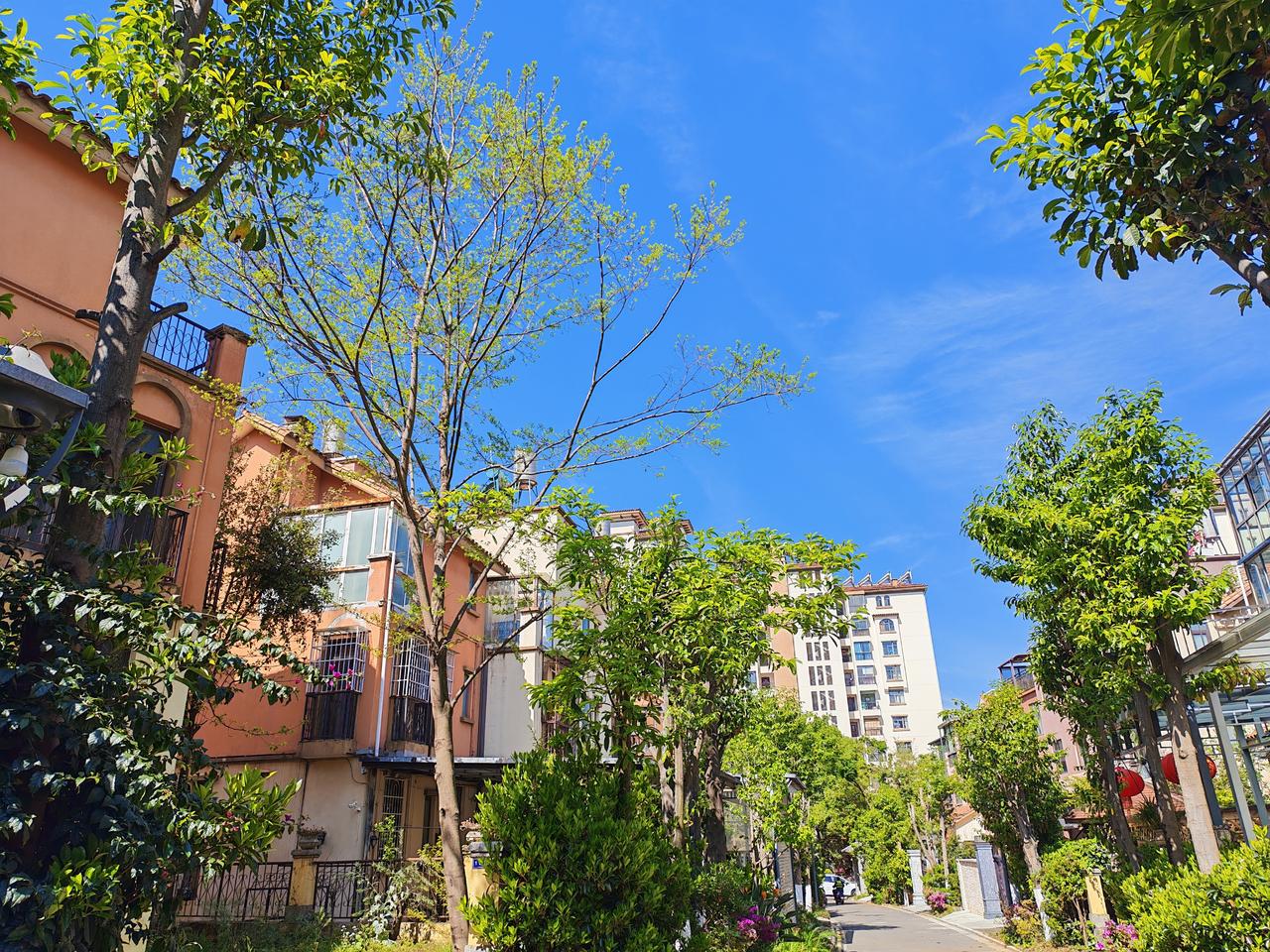 有人努力写了五百万字，收益只有两百元。
可马伯庸用13天的的时间写了《长安的荔枝