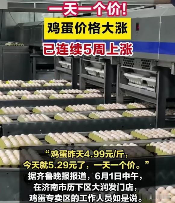 鸡蛋价格暴涨80%：菜篮子里的通胀信号比宏观数据更真实
近5年同期最高，同比大涨