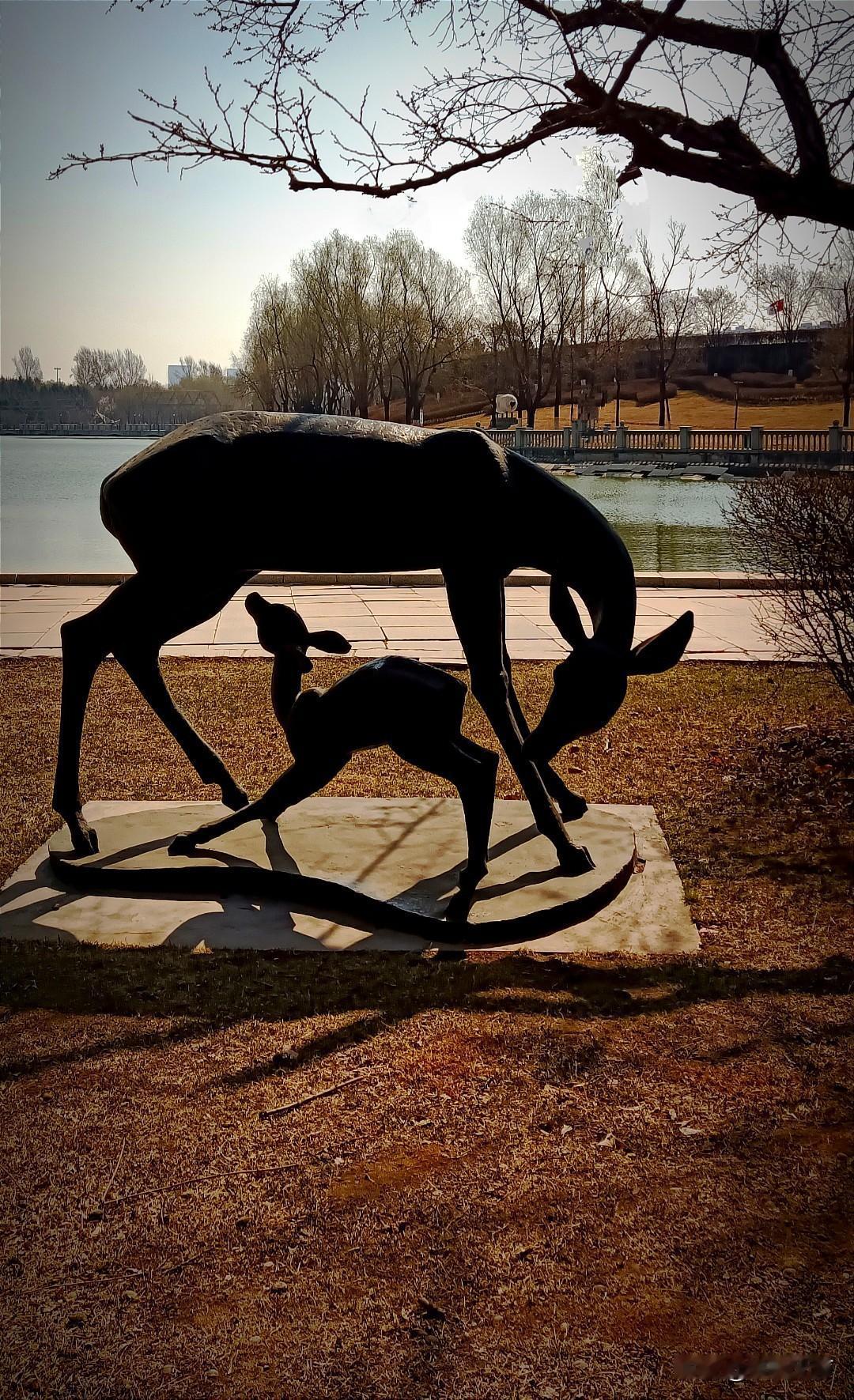 暴风雪弥天，野生动物的生存状况出现了危机！机智的狐狸拦路讨饭，说明当地的人和动物