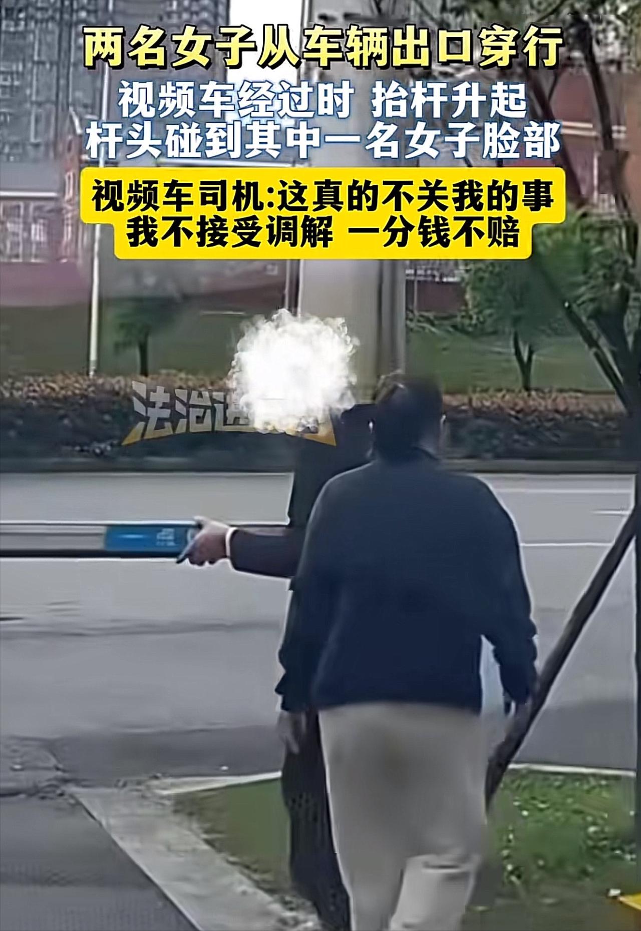 🌙湖南长沙，一业主开车到小区门口，见两女子在前方，其中一名女子手扶着道闸杆。好