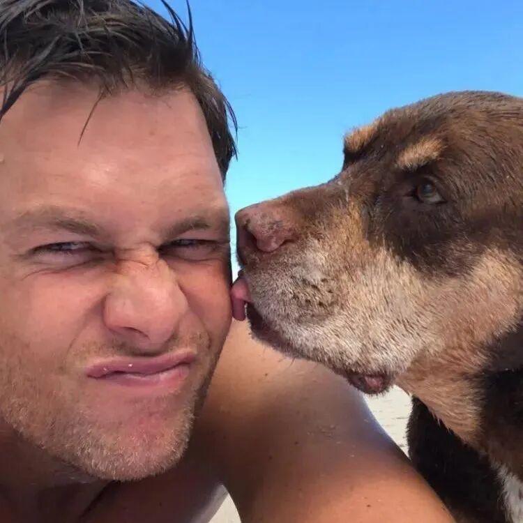 汤姆·布雷迪（Tom Brady）透露，他现养的狗朱妮（Junie）是其已故爱犬
