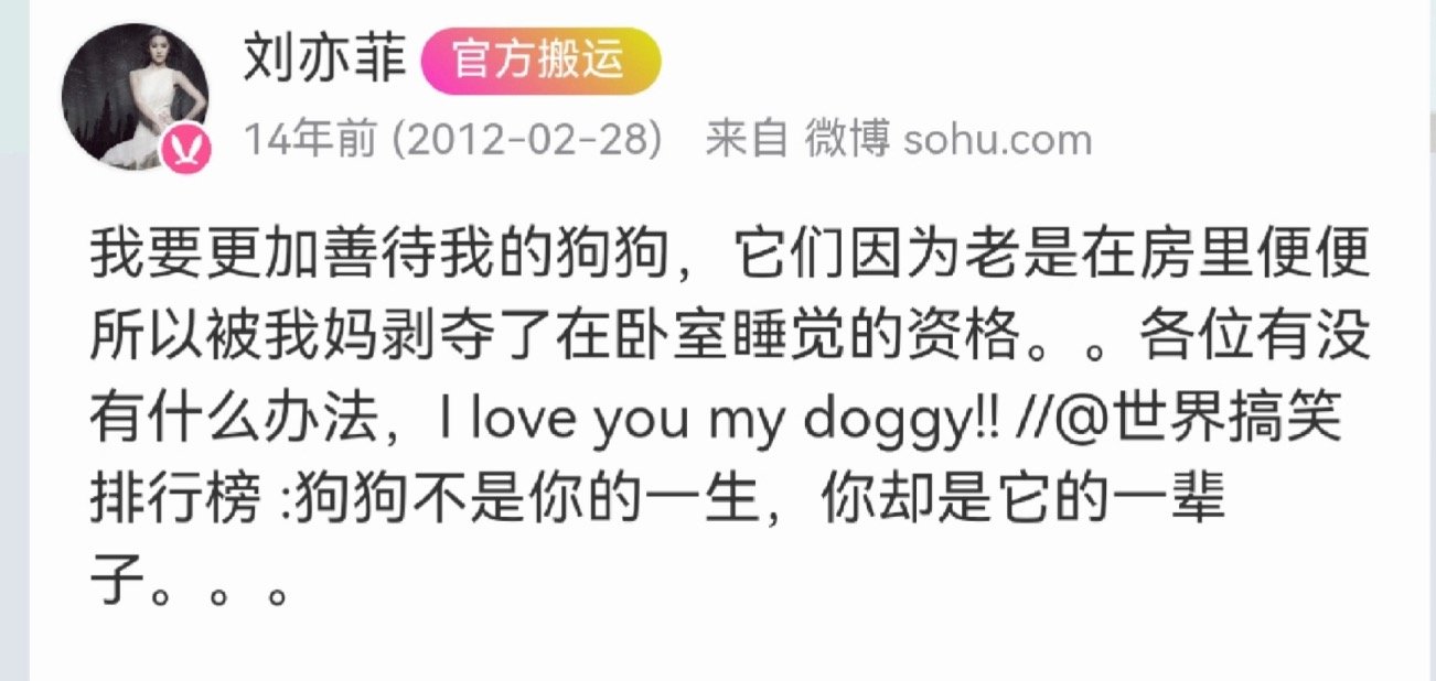 妈宝女真是傻fufu萌萌哒