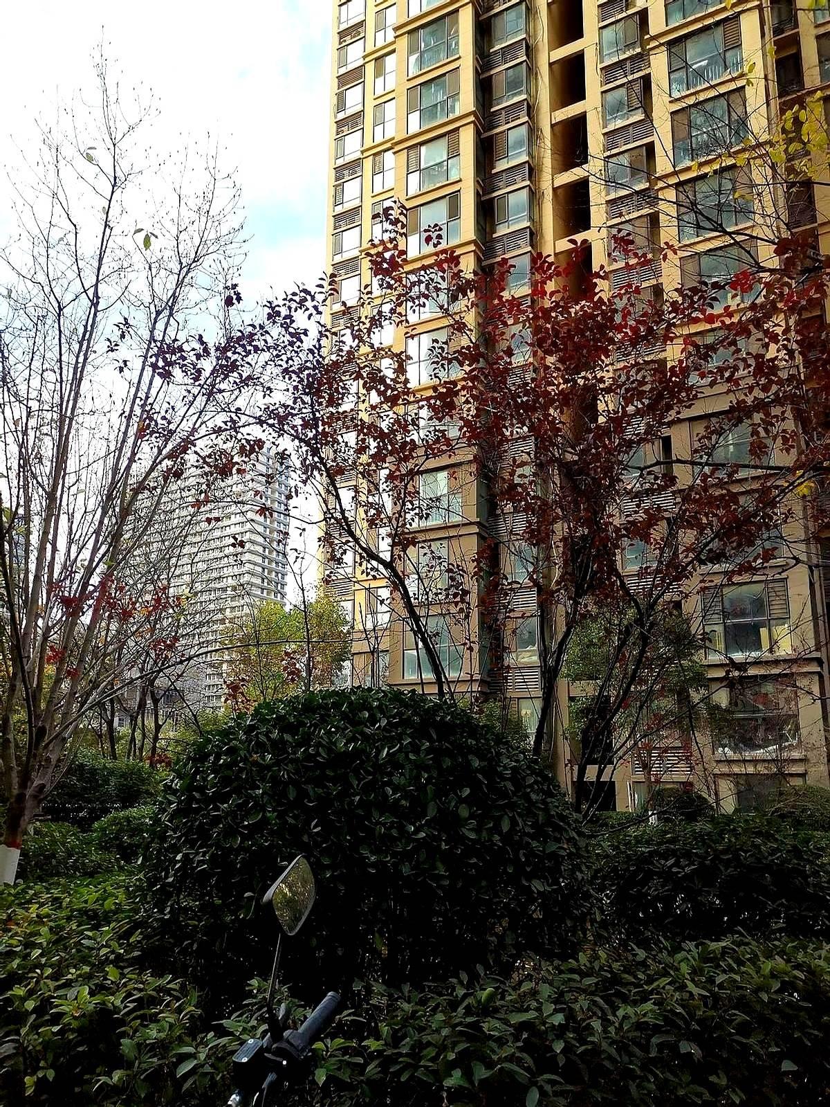 我婆婆是双胞胎，她和小姨两个人都长的特别漂亮！
我婆婆当年一门心思扑在学习上，养