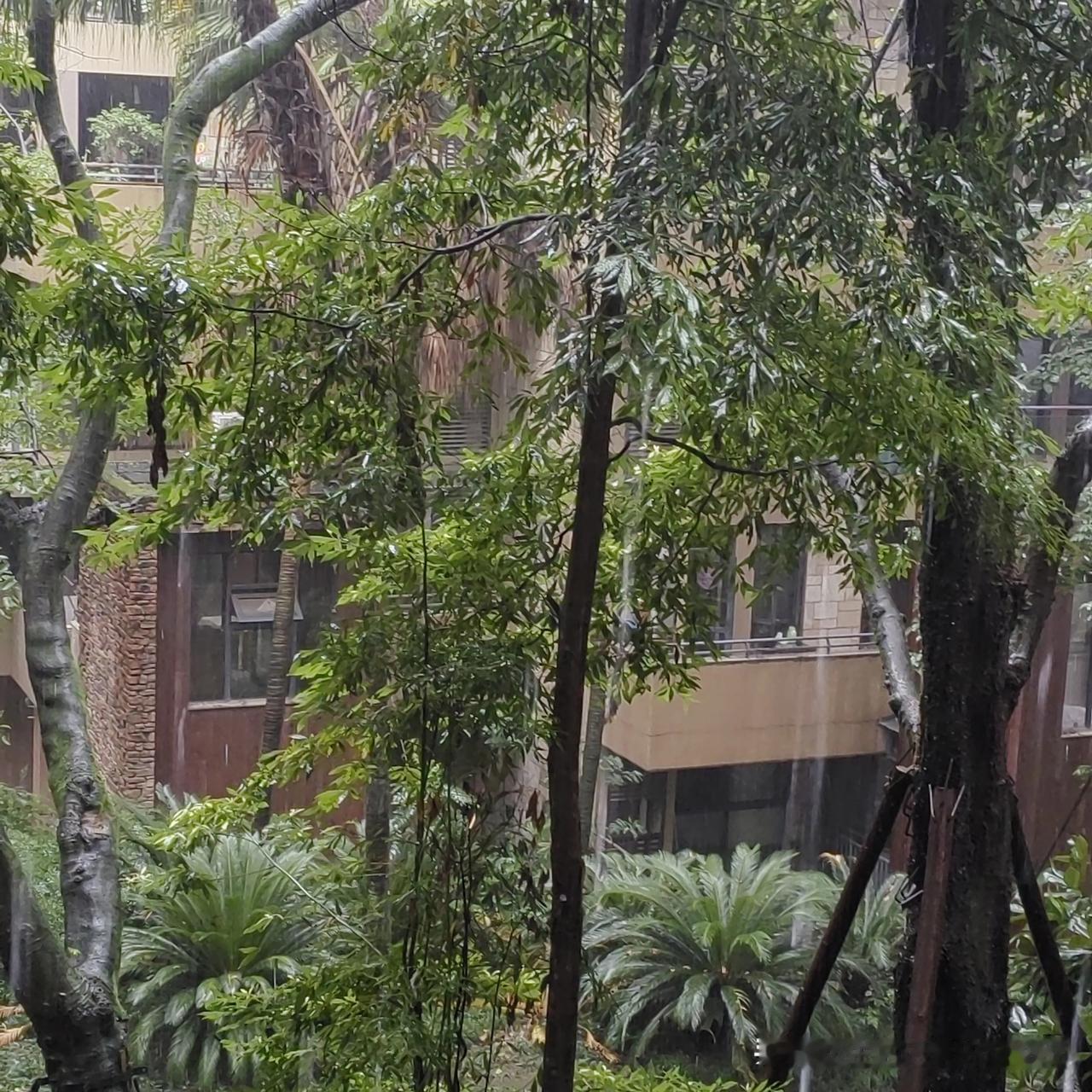 讨厌成都的夏天，只要一下雨就停不下来，这一周都是雨天。

成都今天最高气温26度