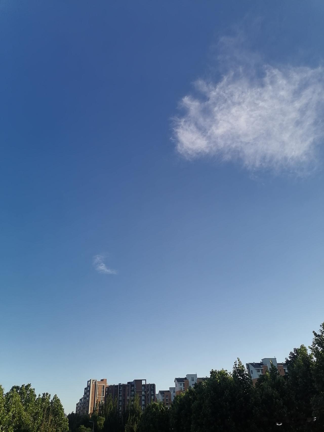 每一个不曾起舞的日子，都是对生命的辜负。

下班准时冲出门口，傍晚我得去图书馆借