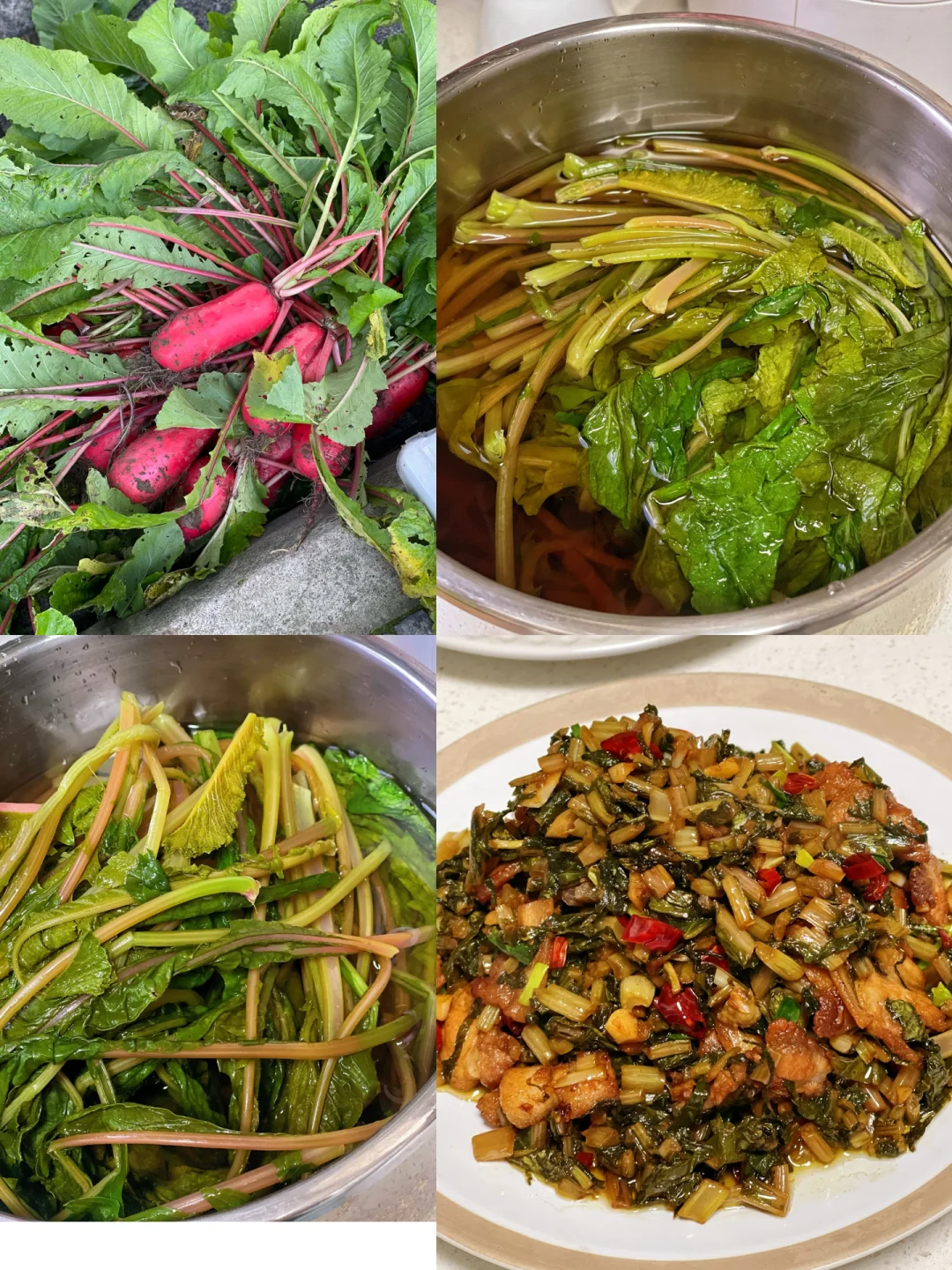 又做了开胃下饭的萝卜叶酸菜三四天就可以吃