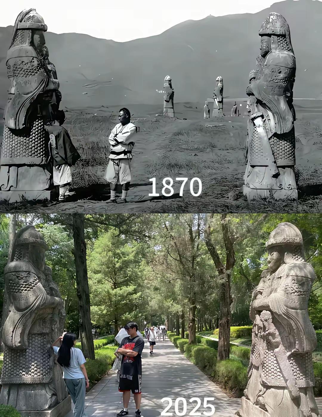 一直很好奇，为啥百年前的照片，基本上没什么树木，都是光秃秃的？