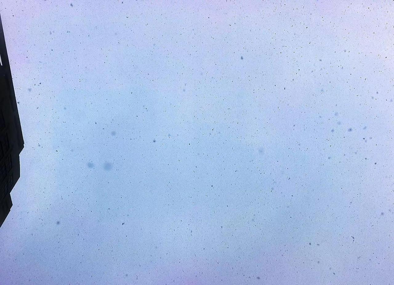 四月飞雪，这应该是冬天和春天最后一次交接了吧