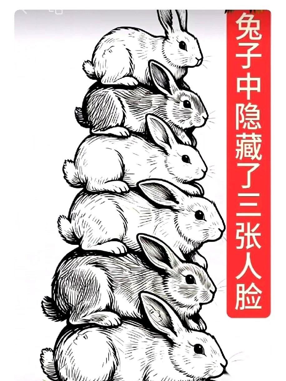 就这么一张普普通通的兔子图，据说只有不到一成的人，能把里面藏着的三张脸给揪出来。