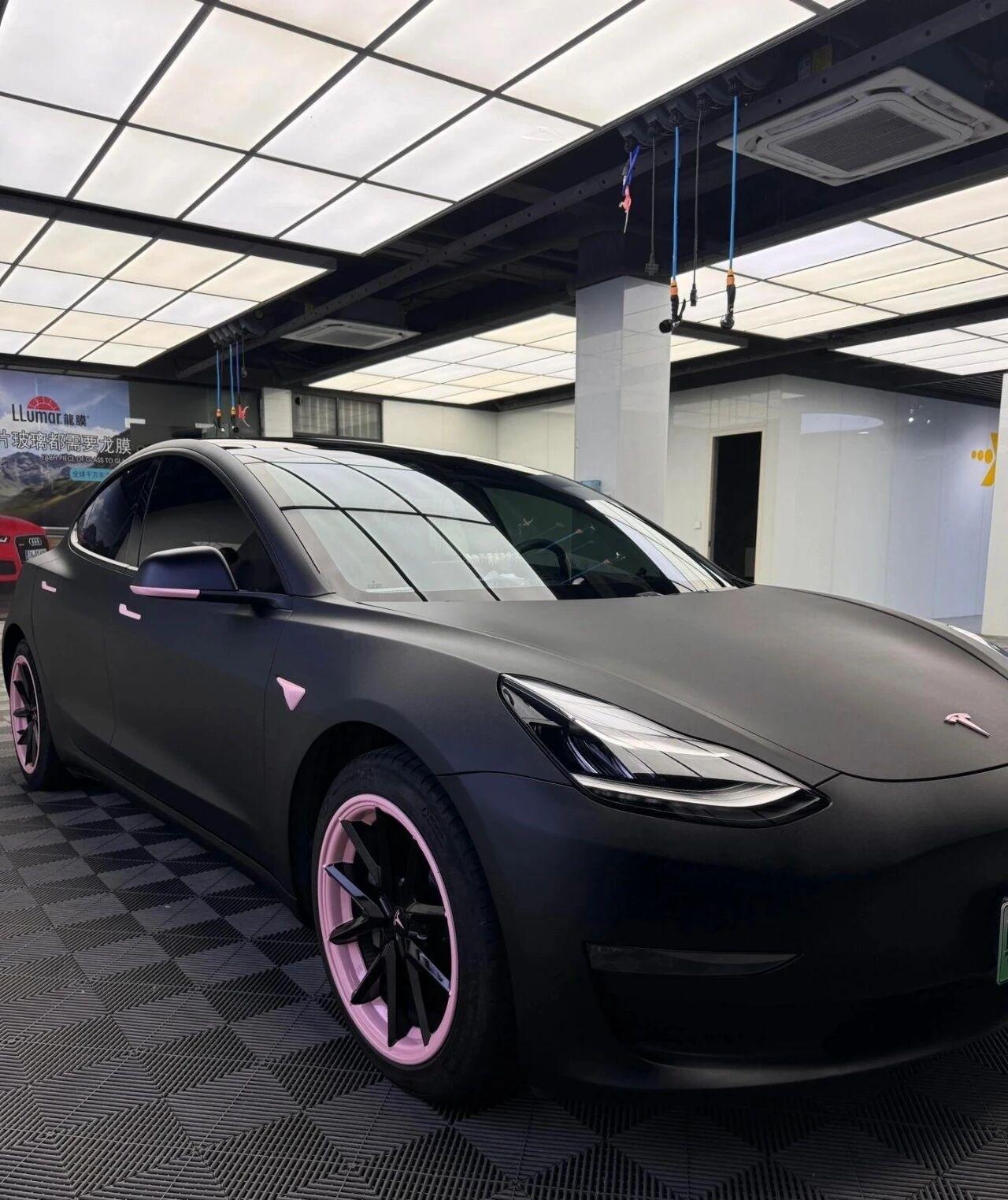 谁家毛豆3拥有绝美blackpink配色？哦是我！是给我家小特改上甜酷风色膜， 