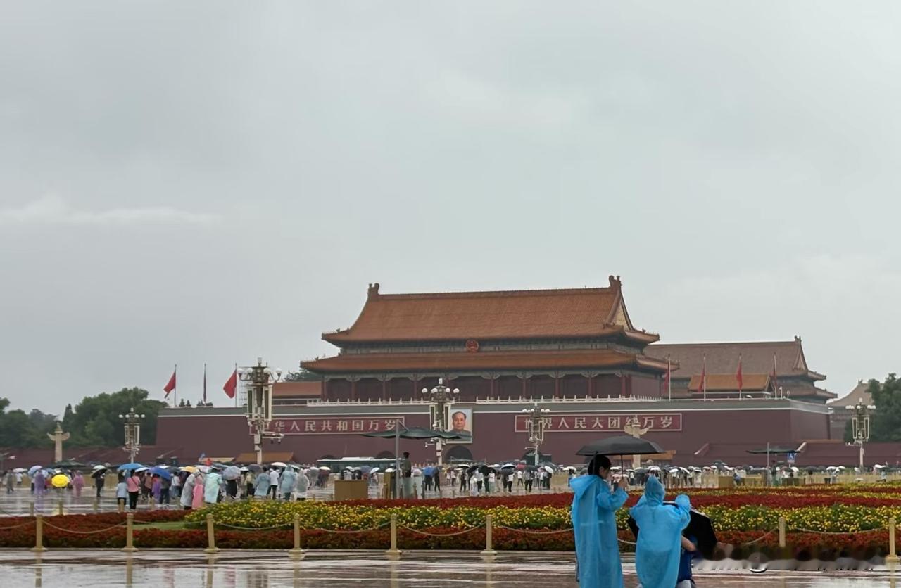 去北京再也不报团了！
20日这天，简直是被雨水和糟心事浸泡的一天。

凌晨一点半